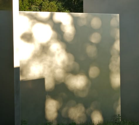 Edward Tufte, Shadow Painting, Rain Lights, Carnegie Museum Of Art, Pinhole Camera, Dappled Light, Shadow Art, Big Leaves, Light Architecture