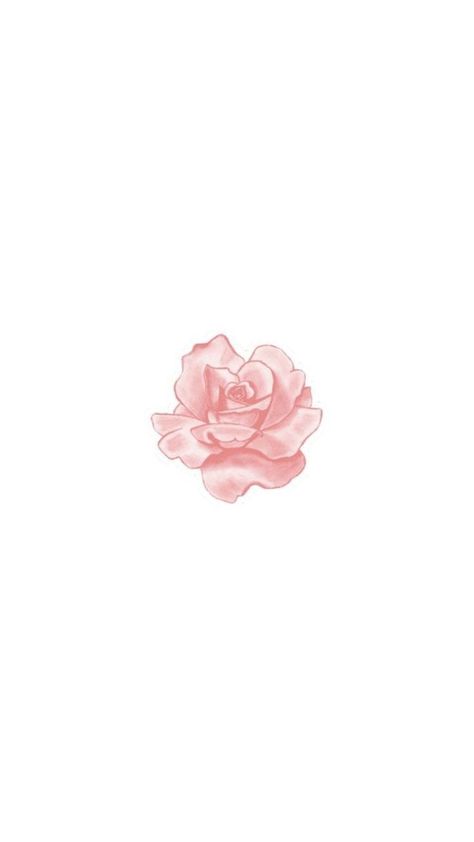 Simple Pink Flower Wallpaper, Light Pink And White Aesthetic, Pink Rose Sketch, Pink And White Pfp, Simple Pfp, Cute Flower Drawing, Wallpaper Rosa, Aesthetic Rose, White Background Wallpaper