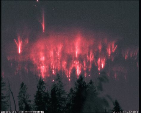 Massive red sprites bursts light up the sky over Poland - Strange Sounds Sprite Lightning, Red Sprites, Atmospheric Phenomenon, September 1, Natural Phenomena, Amazing Nature, Nature Pictures, Natural Wonders, Nature Beauty