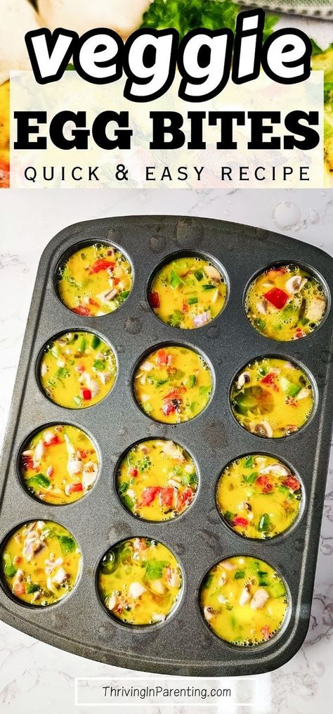 Looking for an easy and healthy breakfast recipe? Try these baked veggie egg bites made in mini muffin tins packed with nutrients that fit your diet! This veggie egg bites muffin tins recipe is perfect for those looking for quick and easy breakfast or even low carb snacks. The best part? You can make a big batch of this homemade veggie egg bites recipe and store in the freezer for later, making it a convenient option for those busy mornings, perfect for busy moms. Easy recipes for busy moms. Healthy Eggs Bites, Egg Bites With Veggies, Egg Bites Muffin Tins Recipe, Veggie Egg Bites Muffin Tins, Egg Bites Veggie, Egg Muffin Bites, Easy Big Batch Meals, Freezer Egg Bites, Easy Egg Bites Muffin Tins