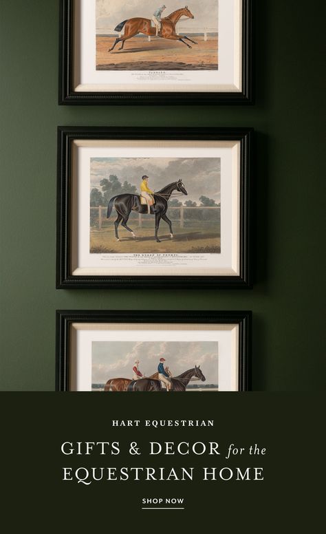 Horse art print