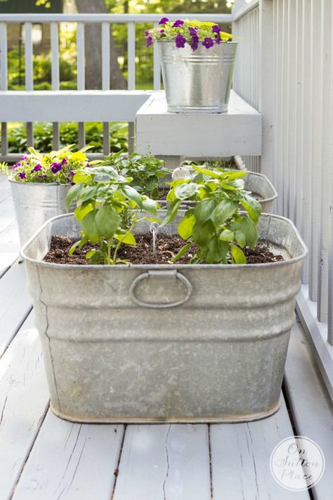 Vintage Galvanized Wash Tub Herb Garden | Container gardening made easy! Herb Garden Container, Galvanized Wash Tub, Patio Herb Garden, Gemüseanbau In Kübeln, Diy Container Gardening, Container Herb Garden, Garden Container, Diy Herb Garden, Garden Pallet