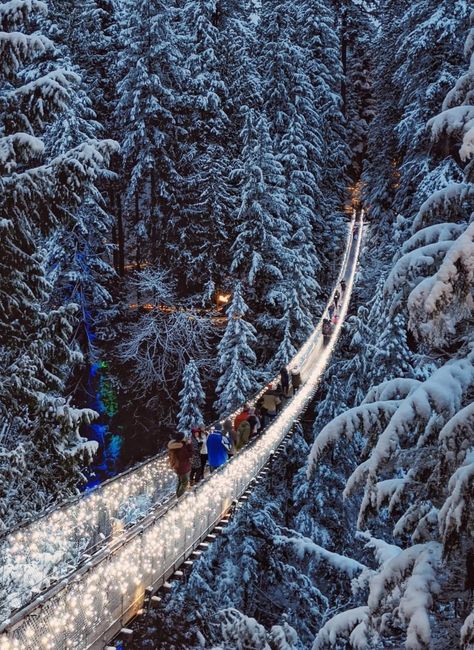 Vancouver suspension bridge. - Beautiful Canada Capilano Suspension Bridge Park, Suspension Bridge Vancouver, Sunshine Skyway Bridge, Vancouver Hotels, Capilano Suspension Bridge, Vancouver Aquarium, Vancouver Art Gallery, Whistler Canada, Beautiful Canada