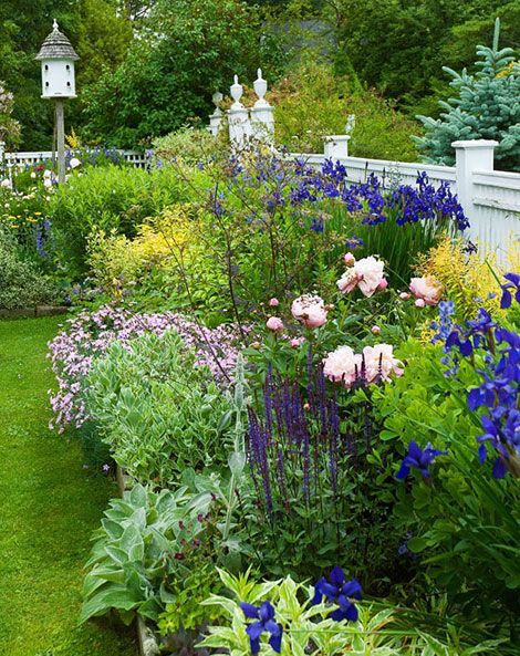 peonies, irises, salvia, lamb’s ears, phlox, &apos;Bath’s Pink’ dianthus Cottage Garden Design, Formal Garden, Longwood Gardens, Have Inspiration, The Secret Garden, Herbaceous Perennials, Flowers Wallpaper, Garden Borders, Garden Care