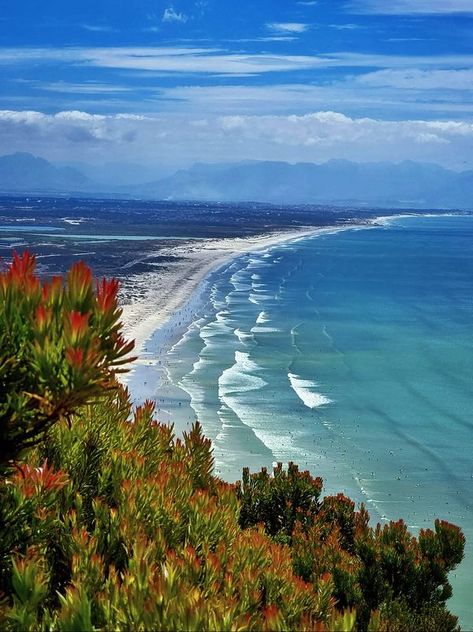 South African Beaches | Overlooking Muizenberg beach from the mountain tops | Facebook Muizenberg Beach, African Beach, Mountain Top, Beach Vibe, Cape Town, South African, The Mountain, Summer Vibes, Cape