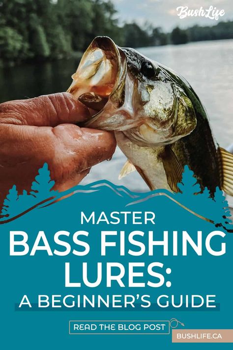 Are you new to bass fishing? Don't worry, we've got you covered! Our beginner's guide on choosing the best bass fishing lures is perfect for anyone just starting out. We've included tips and tricks on what to look for in a lure and some of our favorite picks. Get ready to reel in some big ones! | #fishing #bassfishing #beginnersguide #bushlife | Best Bass Fishing Lures, Best Bass Lures, Kayak Bass Fishing, Crappie Fishing Tips, Bass Bait, Fishing For Beginners, Bass Fishing Lures, Bass Lures, Fly Fishing Tips