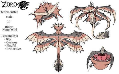 Httyd Art, Hybrid Art, Got Dragons, Dragon Sketch, Dragon City, Pet Dragon, Httyd Dragons, Creature Artwork, Dragon Trainer