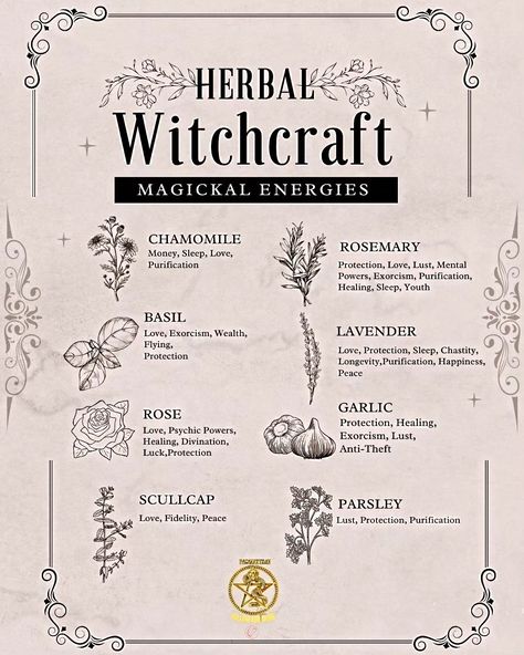 🌿✨ Embrace the magic of herbal witchcraft! ✨🌿 As herbal witches, we connect deeply with nature and harness the power of plants for healing, protection, and transformation. 🌱✨ From crafting potions and herbal remedies to creating sacred spaces, every herb has its own unique energy and purpose. 🌼🌙 Whether it's the calming properties of lavender or the protective energy of sage, each plant offers a special gift. 🌸💫 Let's celebrate the beauty of herbal magic and share our favorite herbs, recipe... Beauty Herbs Witchcraft, Herb Properties Witch, Plants For Witchcraft, Healing Herbs Witchcraft, Lavender Magical Properties, Witchcraft Herbs Meanings, Herb Magical Properties, Potions Recipes Witchcraft, Herbal Magic Witchcraft