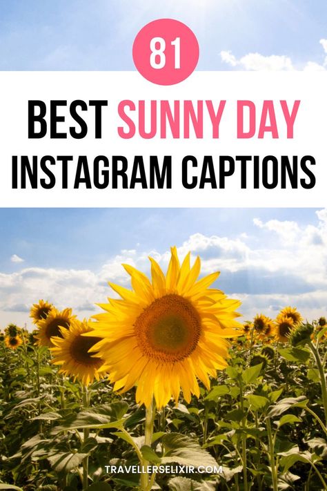 Best sun Instagram captions & quotes Quotes Sunny Day, Captions For Instagram Sunshine, Sunny Days Captions For Instagram, Caption For A Day Out, Nice Weather Captions, Sunny Instagram Caption, Sunny Insta Captions, Sunshine Letter Board Quotes, Sunny Sunday Quotes