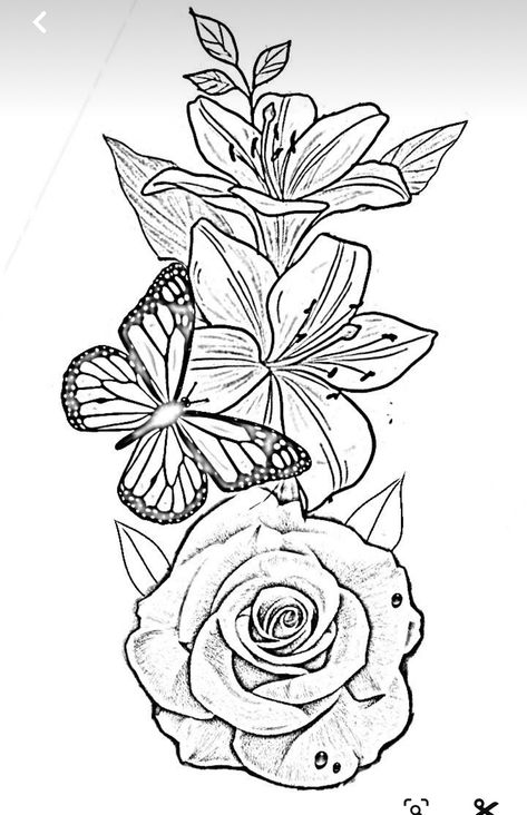 Spring Colouring, Drawing Of A Rose, Rose Tattoo Stencil, Realistic Flower Tattoo, Butterfly Tattoos Images, Rose And Butterfly Tattoo, Butterfly With Flowers Tattoo, Butterfly Tattoo Stencil, Drawing Wood