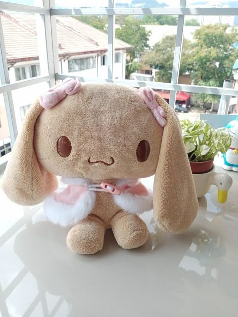 Mocha Plushie, Hawaii Sanrio, Mocha Plush, Sanrio Mocha, Silly Things, Kawaii Plushies, Hello Kitty Items, Cute Stuffed Animals, Cute Little Things