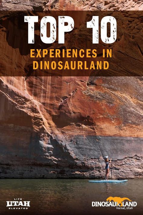 Dinosaur fossil digging, hiking, camping, and much more! Here are 10 experiences in Dinosaurland in Vernal, Utah that you can enjoy during your next vacation! This list includes family-friendly ideas along with couple trip ideas! Dinosaur Fossils Activities, Dino Fossils, Vernal Utah, Dino Fossil Dig, Dinosaur National Monument Utah, Dinosaur Land, Alpine Forest, Great Lakes Rocks And Fossils, Campfire Stories