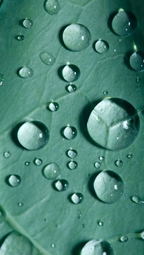 Water Bubbles Wallpaper, Water Droplet Photography, Water Droplets Wallpaper, Water Droplets Photography, Water Droplets Art, Droplets Of Water, Drops Of Water, Bubbles Wallpaper, Water Photography