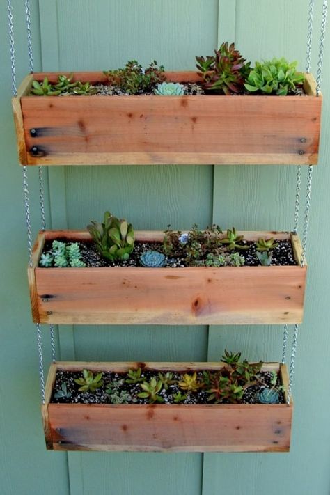 Windows Apartment, Pallett Ideas, Diy Raised Planter, Diy Flower Box, Hanging Planters Outdoor, Plants For House, Trailing Succulents, Wooden Succulent Planter, Kitchen Garden Ideas