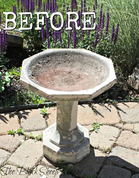 Concrete birdbath before. Painted Concrete Bird Bath, Painting A Cement Birdbath, How To Paint A Concrete Bird Bath, Bird Bath Makeover Concrete, Painting Concrete Bird Bath, Painted Birdbath Ideas, Painted Bird Bath Ideas, Painting A Bird Bath, Bird Bath Painting Ideas Concrete