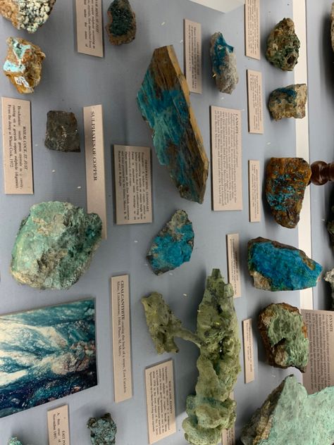 Some pretty things i saw in the museum #aesthetic #crystals #rock #vibe Gemologist Aesthetic, Rock Collection Aesthetic, Rocks Aesthetic, Rocks And Minerals Aesthetic, Geology Major Aesthetic, Geologist Aesthetic, Collecting Rocks Aesthetic, Geology Museum, Rock Museum