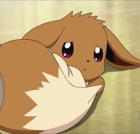 Cute Eevee, Anime O, Eevee Cute, Solgaleo Pokemon, Cute Video, Pokemon Stickers, Pokemon Eeveelutions, Pokemon Pins, Cute Pokemon Pictures