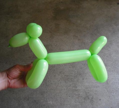 How to Make a Weiner Dog Balloon Animal: Weiner Dog Balloon Animal - Introduction Dog Balloon Animal, Types Of Balloons, Easy Balloon Animals, Clown Balloons, Dog Balloon, How To Make Balloon, Twisting Balloons, 50 Balloons, Balloon Modelling