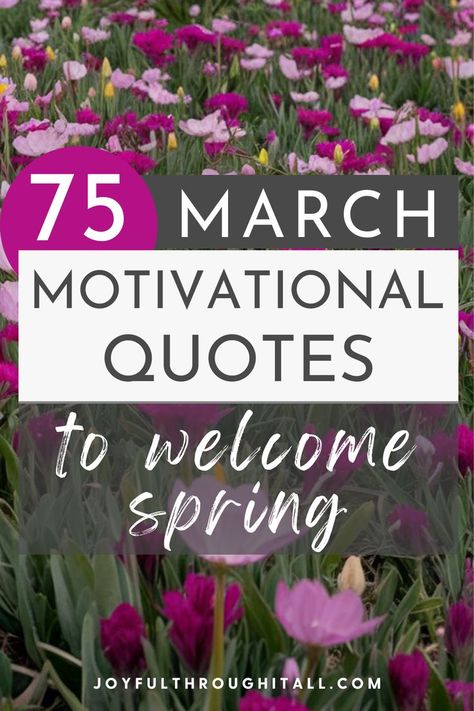 march inspirational quotes, hello march quotes, march motivational quotes, welcome march quotes March Motivational Quotes, Quotes About March, Welcome March Quotes, March Quotes Inspirational, Hello March Quotes, Welcome March, March Quotes, March Themes, Happy March