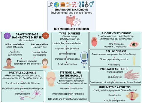 IJMS | Free Full-Text | Gut Dysbiosis and Fecal Microbiota Transplantation in Autoimmune Diseases Gut Dysbiosis, Gut Protocol, Autoimmune Disorders, Pseudomonas Aeruginosa, Sjogrens Syndrome, Hashimotos Disease, Graves Disease, Unhealthy Diet, Gut Microbiota