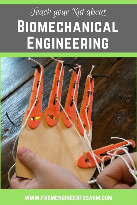 While doing this month's Tinker Crate, my son learns about biomechanical engineering and simple machines while building his very own mechanical hand! Engineering Experiments, Bio Engineering, Biomechanical Engineering, Body Board, Engineering Resume, Engineering Toys, Engineering Activities, Math Activities For Kids, Maker Space