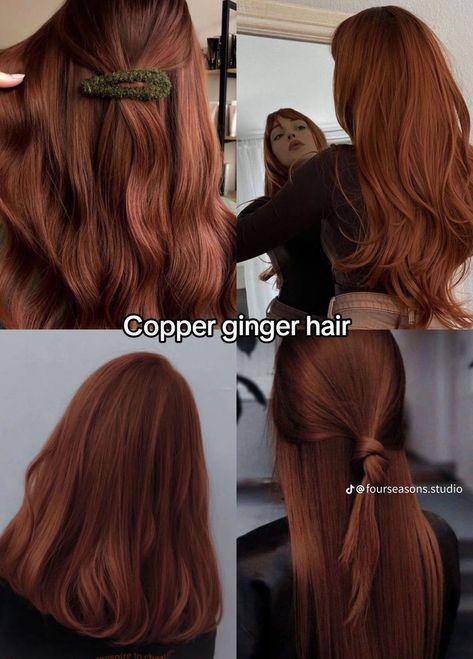 Red Hair Inspo, Hair Color Streaks, Kadeřnické Trendy, Ginger Hair Color, Hair Color Auburn, Pretty Hair Color, Copper Hair, Hair Dye Colors, Hair Inspiration Color