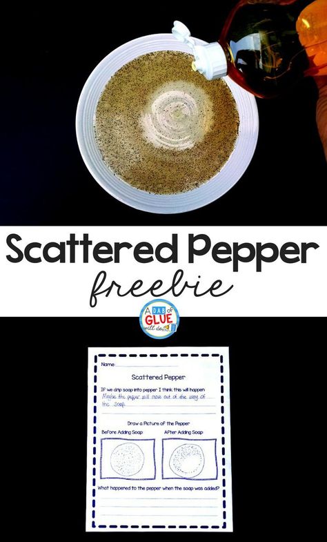 Pepper Experiment, Kindergarten Science Activities, First Grade Freebies, Kindergarten Classrooms, Kindergarten Freebies, First Grade Science, Third Grade Science, Simple Science, Science Activities For Kids