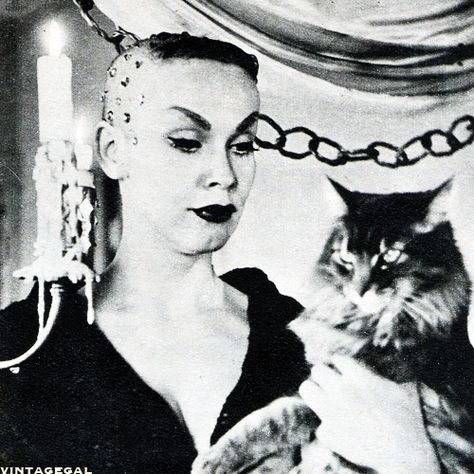 Vampira Maila Nurmi, Maila Nurmi, Celebrities With Cats, Tv Horror, Cat People, Vintage Horror, Movie Monsters, Punk Goth, Classic Horror