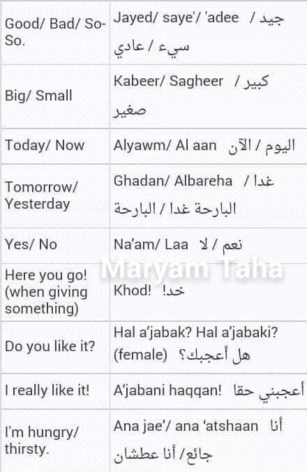 Arabic Slang, Latin Language Learning, Lebanese Arabic, Arabic Learn, Learning Arabic For Beginners, Arabic Sentences, Learn Arabic Online, Learn Another Language, Teach Arabic