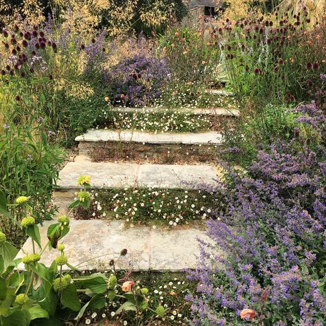 Beach Gardens, Sloped Garden, Australian Garden, Italian Garden, Side Garden, Moon Garden, Mediterranean Garden, Native Garden, Terrace Garden