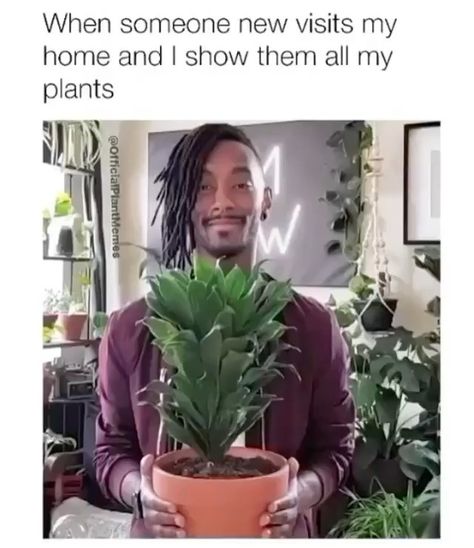 Plant Instagram Story, Plant Instagram, Military Memes, Vegan Memes, Plants Are Friends, Trellis Plants, Amazing Video, Outdoor Plant, Vegan Animals