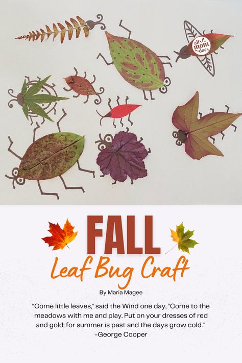 With the swirling leaves turning brilliant shades of fall colors, it’s the perfect time to throw together an easy autumn craft! I love this one because it can help you and your kids slow down for a minute and take in the beautiful details of each leaf. I hope these little guys brighten up even the most blustery Fall day and create some special memories for you and your family.| "Handcrafted DIY Fall Leaf Bug Craft" by Maria Magee Leaf Bug, Bug Craft, Autumn Craft, Who Is Jesus, Bug Crafts, Easy Fall Crafts, Pumpkin Bars, Diy Money, House On The Rock