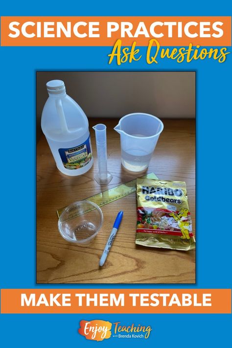 Kids in fourth and fifth grades need to understand elements of a testable question. In this experiment, they will ask a scientific question about gummy bears, water, and vinegar. Read more at Enjoy Teaching. Testable Questions Science Project, Gummy Bear Experiment, Fifth Grade Science, Measuring Volume, Question Stems, Fourth Grade Science, Science Kids, Scientific Investigation, Science Questions