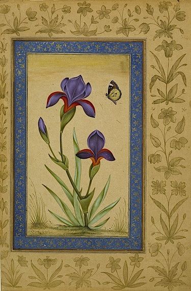 From the Asian and African studies blog post 'A Mughal Flower Show'. Image: A blue iris and a butterfly (Add.Or.3129, f 41v). Mughal Flower Paintings, Miniature Iris, Mughal Flowers, Butterfly Framed Art, Mughal Miniature, Persian Miniatures, Mughal Flower, Mughal Miniature Paintings, Renoir Art