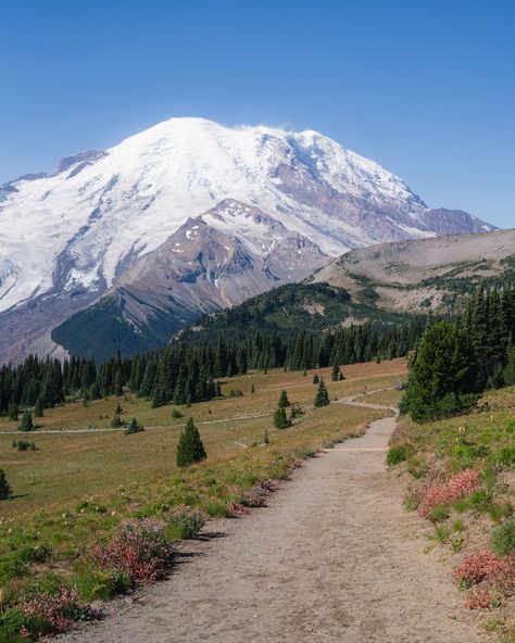 My first time visiting the Sunrise area of Mount Rainier National Park was so awesome! I couldn’t get over the views. Have you made it to this part of the park? 📍 Sunrise Nature Trail Rated: Moderate 1.5 miles 370 ft elevation gain Loop ⚠️ Vehicle reservation was required #mountrainier #pnw #sheexplores National Park Aesthetic, Sunrise Nature, Mt Rainier National Park, Love The Earth, Mount Rainier National Park, Mt Rainier, Romanticizing Life, Rainier National Park, Days Like This