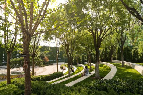 Amphitheater Architecture, Landscape Stairs, Human Environment, Planting Design, Urban Landscape Design, Exterior Stairs, Outdoor Theater, Urban Park, Public Park