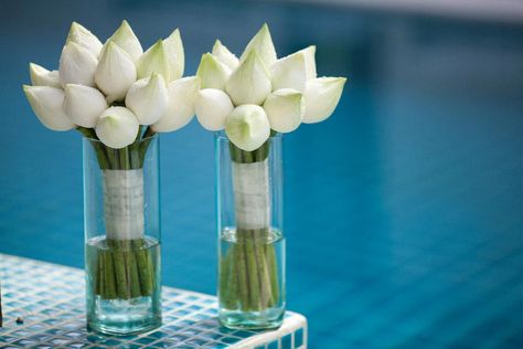 white lotus buds bouquets...for bridesmaids but I want single stem bouquets and a different color Lotus Flower Bouquet, Lotus Bouquet, Tropical Bridal Bouquet, Lotus Flower Wallpaper, Phrasal Verb, White Lotus Flower, Calla Lily Flowers, Tropical Bridal, Flowers Bouquet Gift