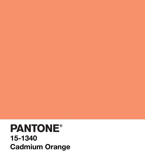 Pantone Autumn, Orange Pantone, Orange Gemstones, Cadmium Orange, Peachy Aesthetic, Earthy Neutrals, Pantone 2020, Nails Flowers, Pantone Colour Palettes