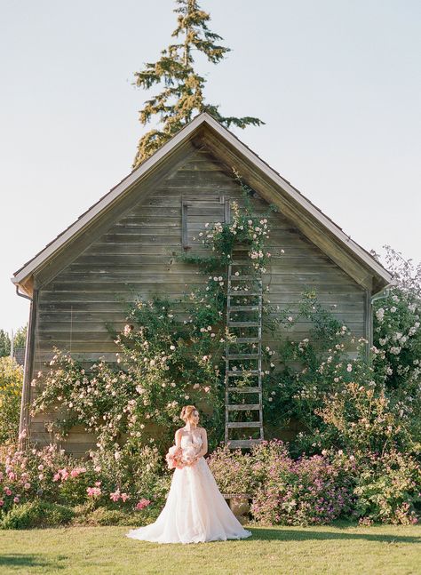 Romantic and Bold wedding inspiration in a unique and modern color palette. Photographed at Mt Vernon Wedding Venue Christianson's Nursery by The Ganeys | Seattle Wedding Florist Gather Design Company Micro Wedding Venues, Flower Farm Wedding, Greenhouse Wedding, Fall Entertaining, Bridal Pictures, South Indian Weddings, Brooklyn Wedding, Wedding Dress Pictures, Micro Wedding