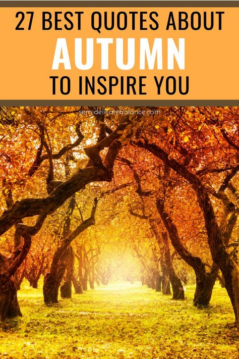 25 Best Autumn Quotes, Messages, and Sayings For The Fall Season #autumnquotes #autumnquotesandsayings #fallquotes #fallquotes #octoberquotes Quotes For Fall Season, Fall Inspiration Quotes, Fall Sayings Quotes Autumn, September Quotes Autumn, Quotes For Fall, Quotes About Autumn, Fall Quotes And Sayings, Quotes About Fall, Fall Quotes Autumn