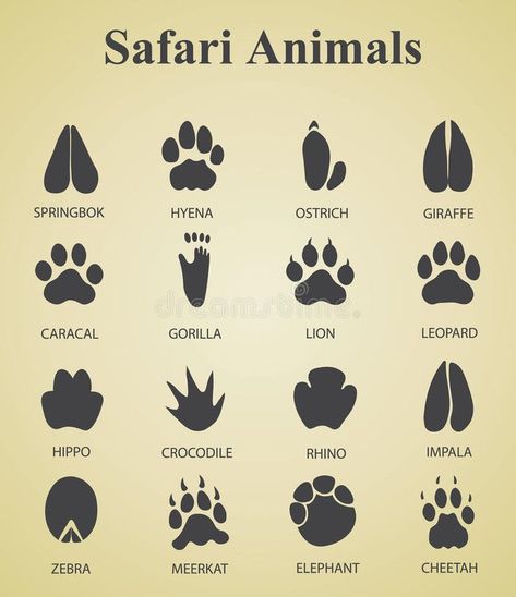 Paw Drawing, Jungle Thema, Animal Footprints, Tiger Paw, Animal Tracks, Animal Illustrations, Party Animals, Safari Party, Jungle Theme