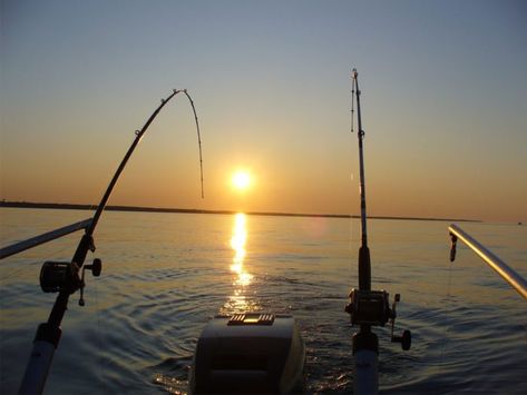 Dusk Time, Maintenance Free Deck, Boat Lift, Fishing Pictures, Fort Myers Beach, Gone Fishing, Going Fishing, White Sand Beach, Fishing Tips