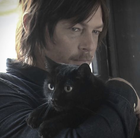 Daryl Dixon icon A Black Cat, Norman Reedus, A Black, A Man, Black Cat, Black