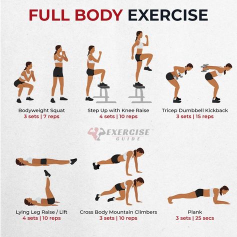 Full-body exercises for a complete workout! 💪 #fitness #workoutathome #fullbody Extreme Full Body Workout, Abc Workout, Beginner Full Body Workout, Complete Workout, Total Workout, Body Exercises, Major Muscles, Toning Workouts, Fit Board Workouts