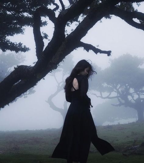 Woodland Fae Aesthetic, Corvina Clemm, Gothic Photography, Dark Portrait, Foggy Forest, Dark Fairy, Photographie Inspo, Halloween Photoshoot, Gothic Aesthetic