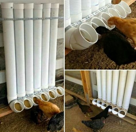 Make a dog food dispenser like this, larger diameter, maybe a pedal to agitate the food if necessary Diy Chicken Food, Chicken Food Dispenser, Homemade Chicken Feeder, Pvc Chicken Feeder, Chicken Feeder Diy, Dispenser Diy, Pet Food Dispenser, Clean Chicken, Chicken Waterer