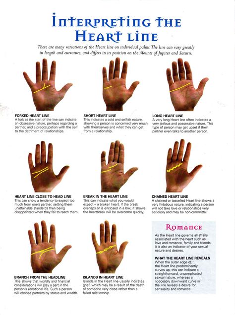 Palm Reading Heart Line, Heart Line Palmistry, Palmistry Basics, How To Read Palms, Hand Reading, Palmistry Reading, Heart Line, Reading Charts, Palm Reading