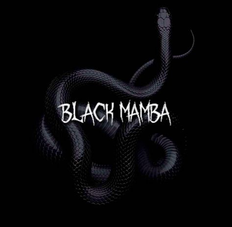 Black Mamba Aesthetic, Black Mamba Aespa, Black Mamba Logo, Aespa Black Mamba, Winter Karina, Sneakers Wallpaper, Kpop Songs, Karina Giselle, Ning Ning