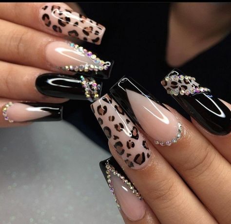 Leapord Print Acrylic Nails Long, Leopard Print Square Nails, Easy Cheetah Nails, Leopard And Black Nails, Leo Acrylic Nails, Gem Patterns Nails, Black And Leopard Nails, Lepord Print Nails Design, Safari Theme Nails