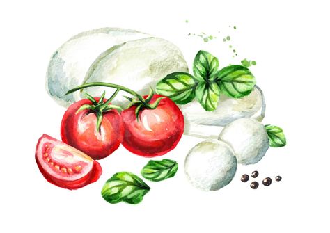 Best Italian Food, Ensalada Caprese, Italian Gifts, Food Sketch, Time To Travel, Food Rules, Watercolor Food, Best Italian Recipes, Food Painting